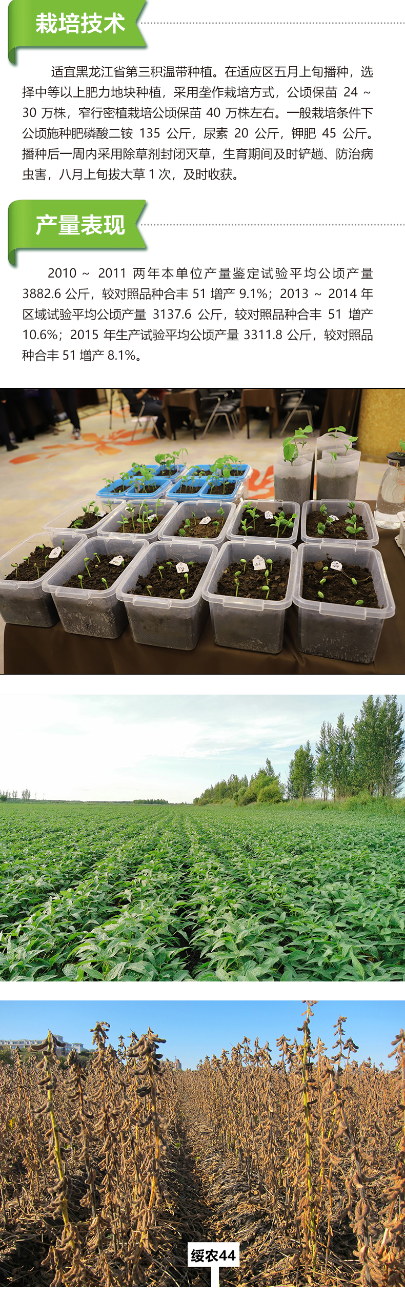 綏農(nóng)44產(chǎn)品詳情_(kāi)02.jpg