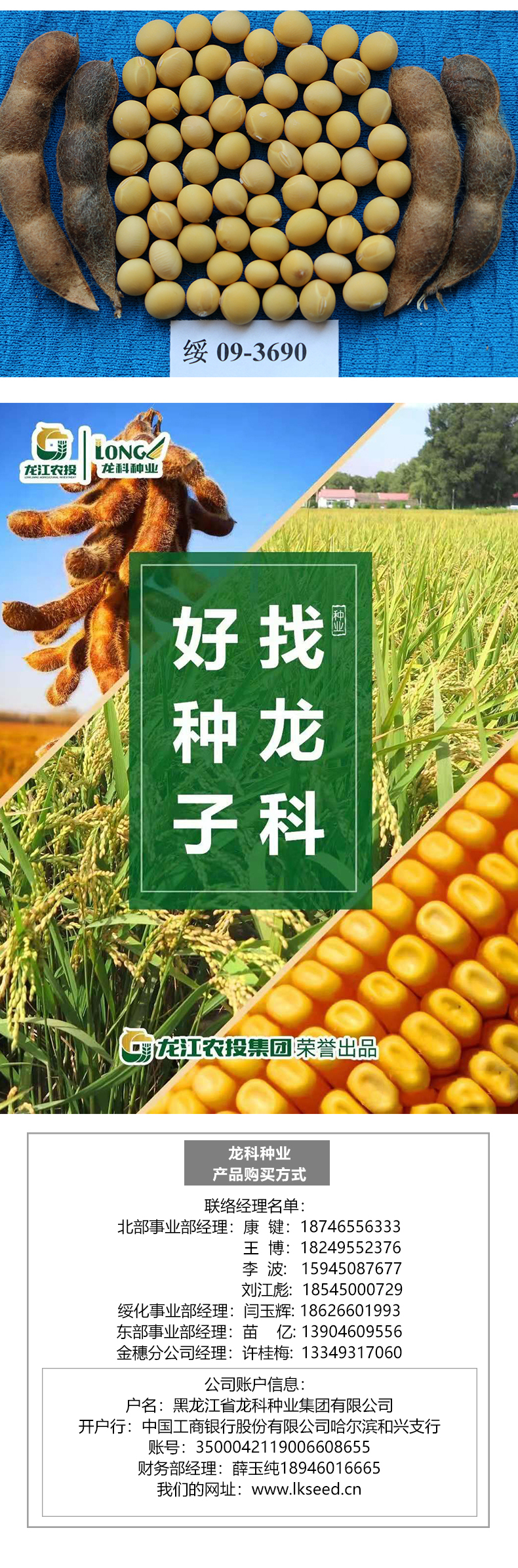 綏農(nóng)42產(chǎn)品詳情_03.jpg