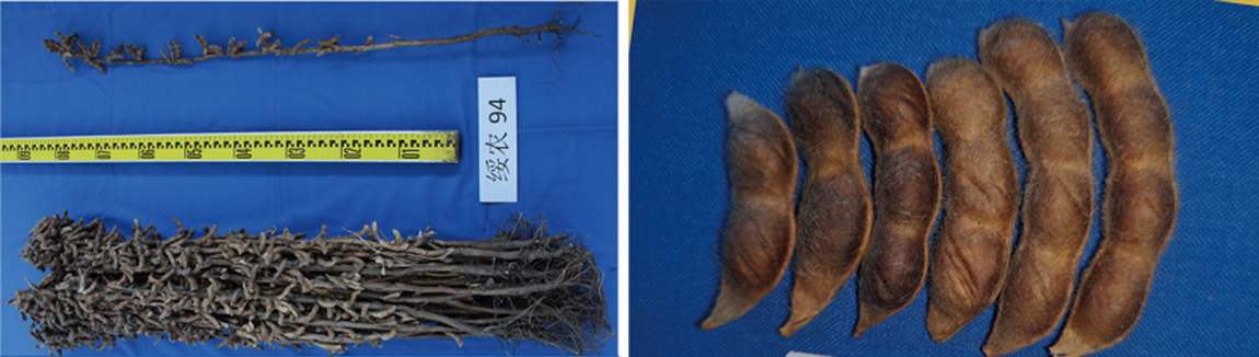 1677827366842776.jpg 1.jpg